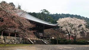 20100402_329shuusei.jpg