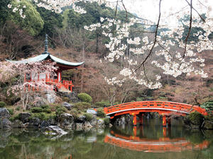20100402_340shuusei.jpg