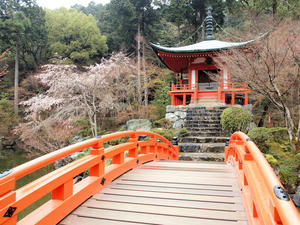 20100402_353shuusei.jpg