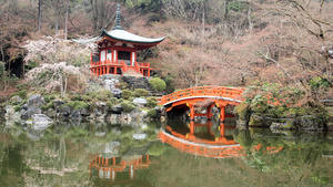 20100402_359shuusei.jpg