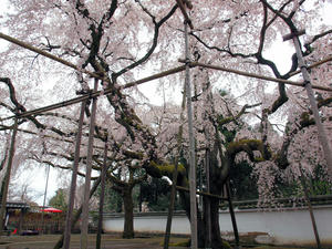 20100402_430shuusei.jpg