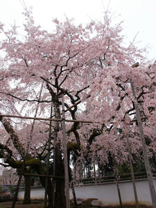 20100402_444shuusei.jpg