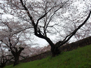 20100402_467shuusei.jpg