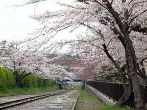 20100402_470shuusei.jpg