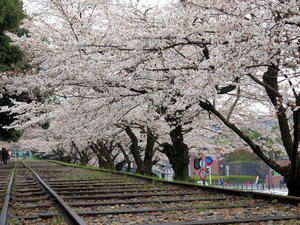 20100402_483shuusei.jpg