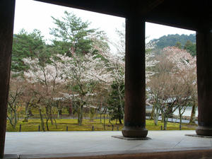 20100402_496shuusei.jpg