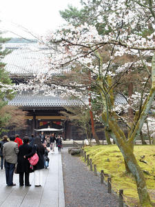 20100402_499shuusei.jpg