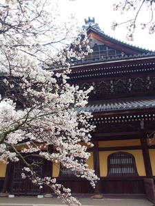 20100402_510shuusei.jpg