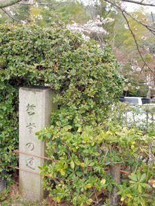 20100402_536shuusei.jpg