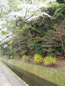20100402_542shuusei.jpg