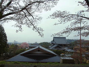 20100402_545shuusei.jpg