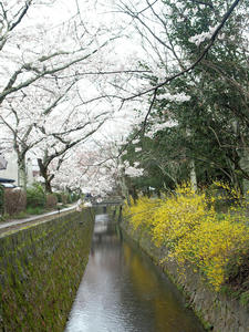 20100402_572shuusei.jpg