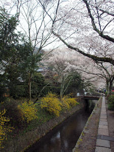 20100402_580shuusei.jpg