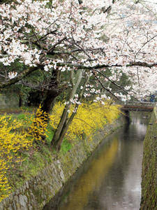 20100402_589shuusei.jpg