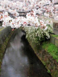 20100402_596shuusei.jpg