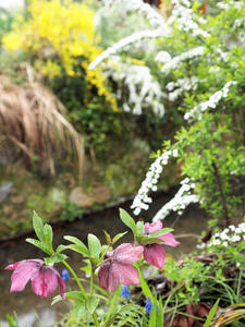 20100402_599shuusei.jpg