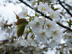 20100402_602shuusei.jpg