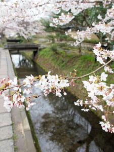 20100402_621shuusei.jpg