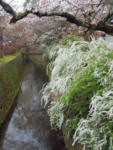 20100402_648shuusei.jpg