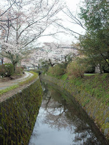 20100402_660shuusei.jpg