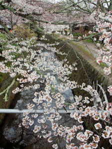 20100402_675shuusei.jpg