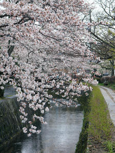 20100402_677shuusei.jpg