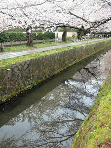 20100402_690shuusei.jpg