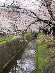 20100402_693shuusei.jpg