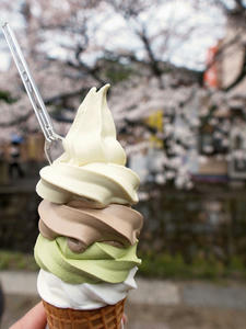20100402_680shuusei.jpg