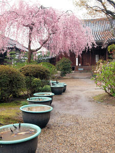 20100402_705shuusei.jpg