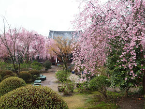 20100402_710shuusei.jpg