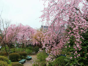 20100402_718shuusei.jpg