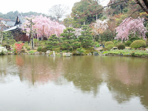 20100402_723shuusei.jpg