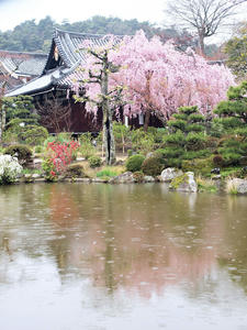 20100402_727shuusei.jpg