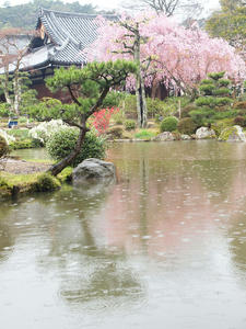20100402_732shuusei.jpg