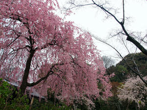 20100402_740shuusei.jpg