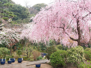 20100402_743shuusei.jpg