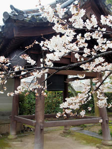 20100402_751shuusei.jpg