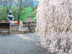 20100402_757shuusei.jpg