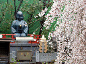 20100402_758shuusei.jpg