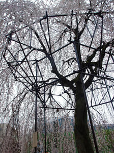 20100402_762shuusei.jpg