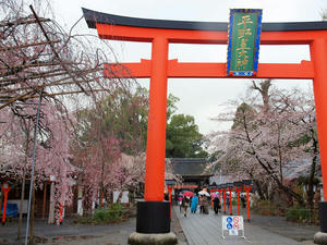 20100402_800shuusei.jpg