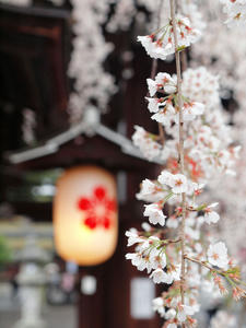 20100402_807shuusei.jpg