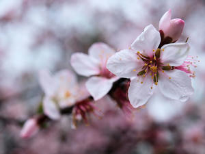 20100402_815shuusei.jpg