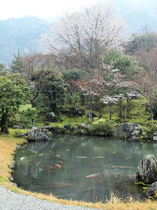 20100402_864shuusei.jpg