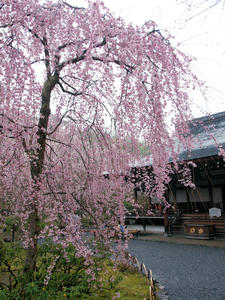20100402_872shuusei.jpg