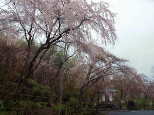 20100402_896shuusei.jpg