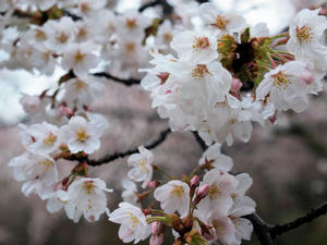 20100402_902shuusei.jpg