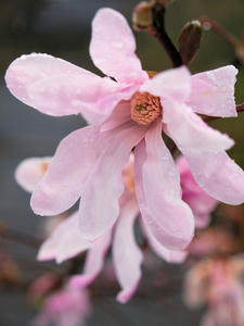 20100402_903shuusei.jpg