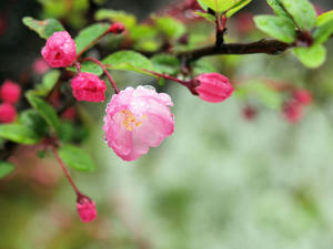 20100402_909shuusei.jpg